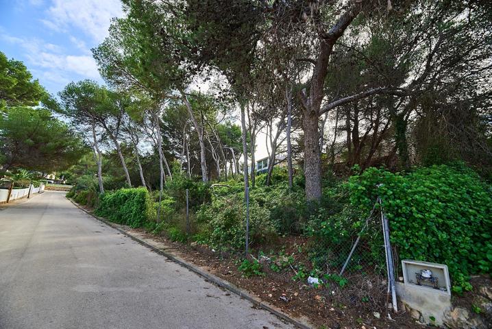 Venta de parcelas, Les Rotes, Denia photo 0