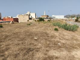 Finca Urbana photo 0