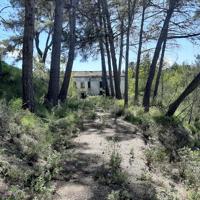 Fantástica finca de 37 hectareas 8 hectáreas con masia photo 0