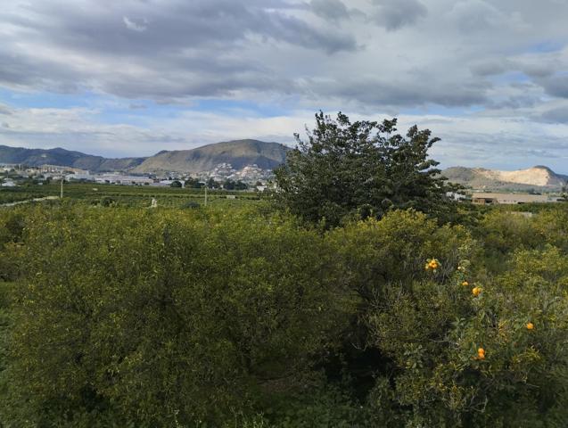 Terreno rustico cercano al pueblo photo 0