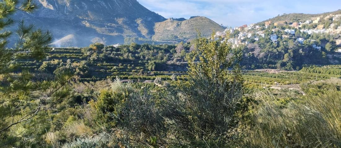 Finca rústica, mucho potencial photo 0