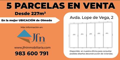 REF. 152A. SOLARES DISPONIBLES EN OLMEDO photo 0