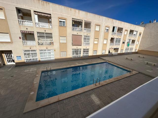 ALQUILER LARGA DURACIÓN. Acogedor apartamento en Torrevieja con piscina comunitaria y todos los servicios para el día a día. photo 0