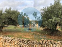 Otro En venta en L'Ampolla photo 0