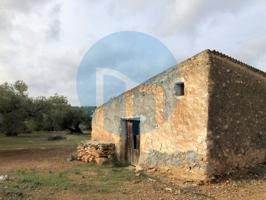 Otro En venta en L'Ampolla photo 0