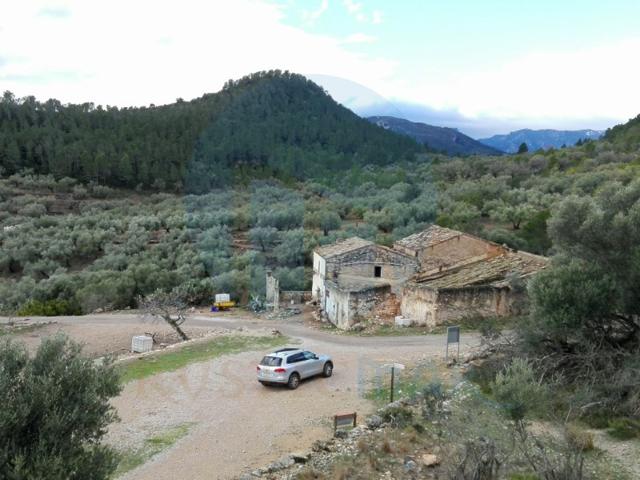 Local En venta en Alfara De Carles photo 0