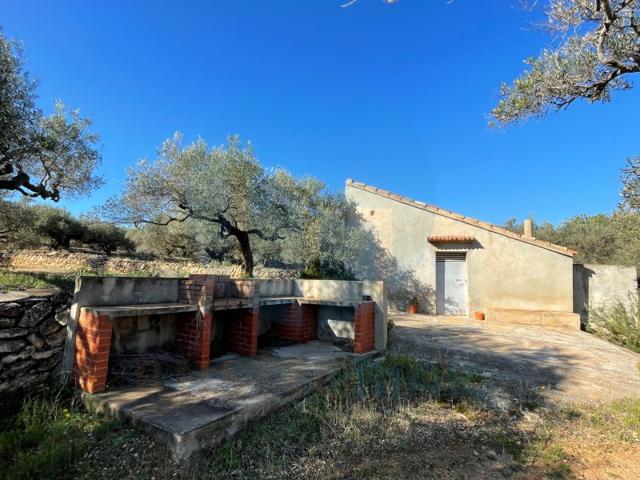 Casa De Campo En venta en L'Aldea photo 0