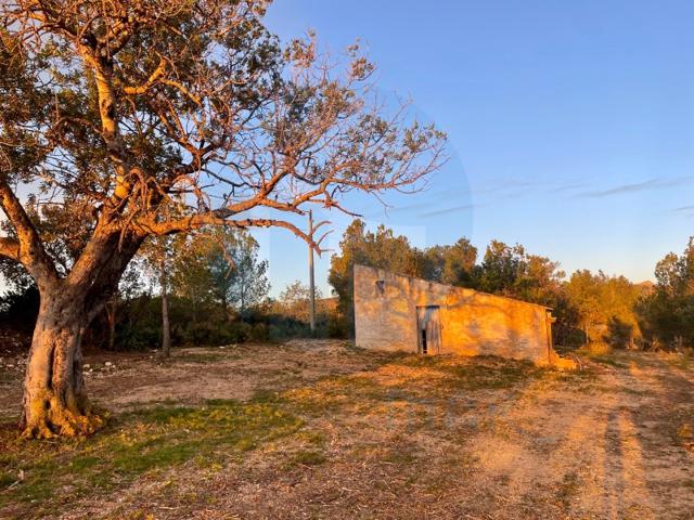 Casa De Campo En venta en L'Ampolla photo 0