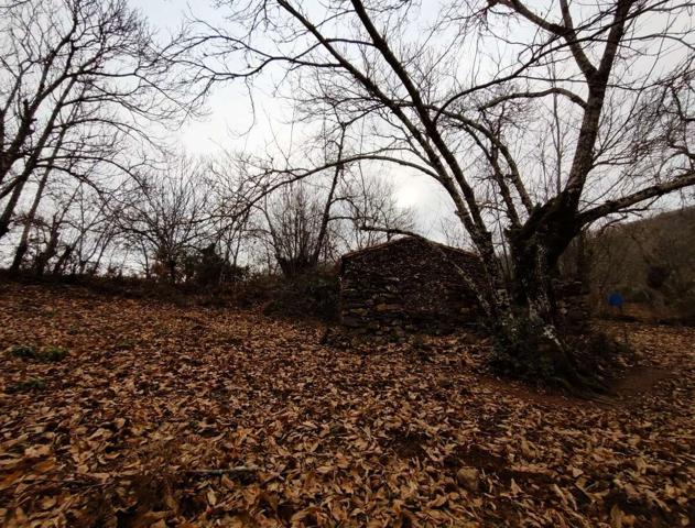 FINCA RUSTICA AGRICOLA EN VENTA EN EL CASTAÑO DEL ROBLEDO (HUELVA) ESPAÑA. photo 0