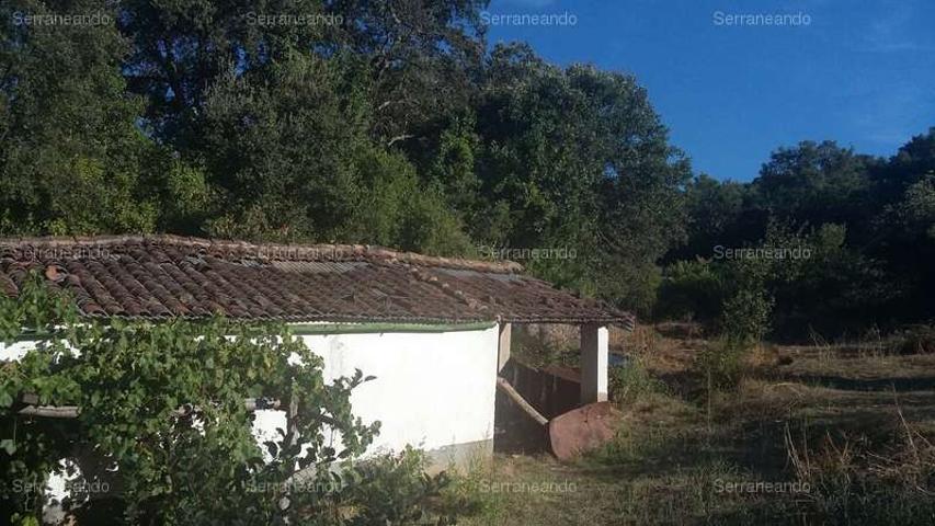FINCA RUSTICA EN VENTA EN JABUGO (HUELVA) ESPAÑA. photo 0