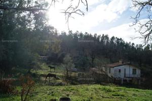 PARCELA EN VENTA EN GALAROZA (HUELVA) ESPAÑA. photo 0
