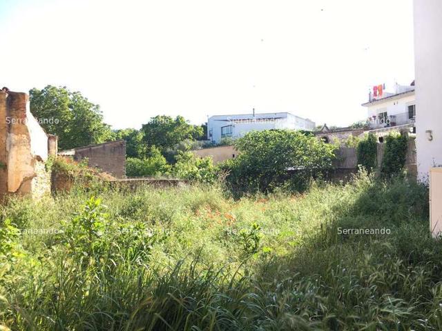 TERRENO URBANO EN VENTA EN GALAROZA (HUELVA) ESPAÑA. photo 0