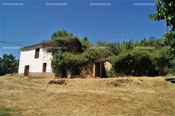 FINCA RUSTICA EN VENTA EN FUENTEHERIDOS (HUELVA) ESPAÑA. photo 0