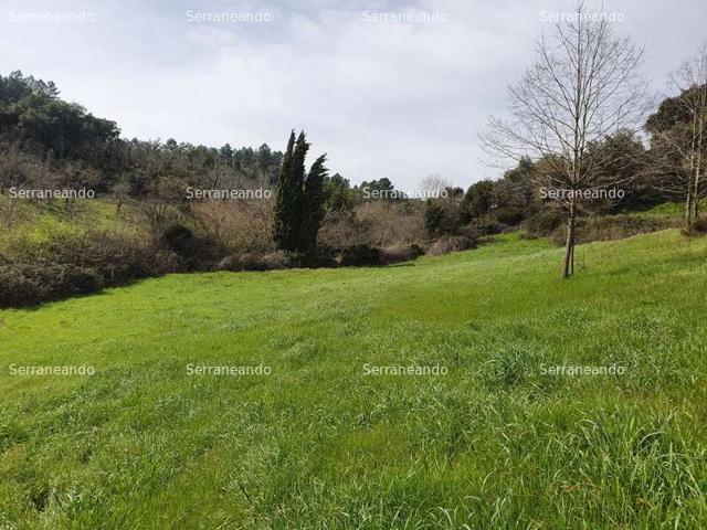 FINCA RÚSTICA EN VENTA EN LA NAVA (HUELVA) ESPAÑA. photo 0