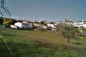 FINCA RÚSTICA EN VENTA EN CORTEGANA (HUELVA) ESPAÑA. photo 0