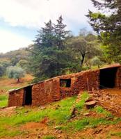 FINCA RÚSTICA EN VENTA EN LAS CEFIÑAS (AROCHE) ESPAÑA. photo 0