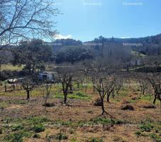 FINCA RÚSTICA EN VENTA EN GALAROZA (HUELVA) ESPAÑA. photo 0