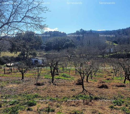 FINCA RÚSTICA EN VENTA EN GALAROZA (HUELVA) ESPAÑA. photo 0