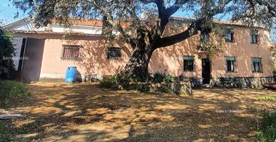 FINCA RÚSTICA EN VENTA EN AROCHE (HUELVA) ESPAÑA. photo 0