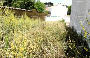 TERRENO URBANO EN VENTA EN LOS MARINES (HUELVA) ESPAÑA. photo 0