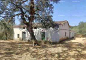 FINCA RÚSTICA EN VENTA EN LA NAVA (HUELVA) ESPAÑA. photo 0