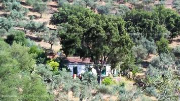 FINCA RÚSTICA EN VENTA EN LA NAVA, HUELVA (ESPAÑA). photo 0