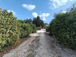 Terreno Urbanizable En venta en Montealegre, Jerez De La Frontera photo 0