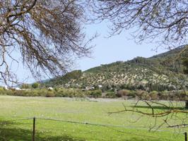 Terreno Urbanizable En venta en Sitio El Garrotal, El Bosque photo 0