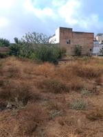 PARCELA photo 0
