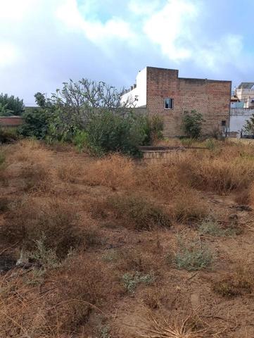 PARCELA photo 0
