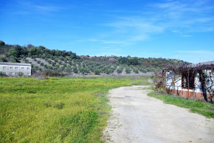 Terreno en venta en Coria de 40000 m2 photo 0