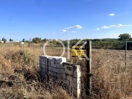 PARCELA DE SUELO RÚSTICO EN CAMINO DE LA VIRGEN DE CORIA-CÁCERES photo 0