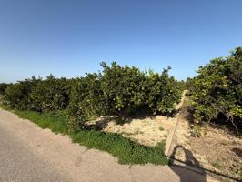 TERRENO RUSTICO, EN POLIÑA DE XUQUER,  CON NARAJOS, APTO TAMBIEN PARA HUERTA . photo 0