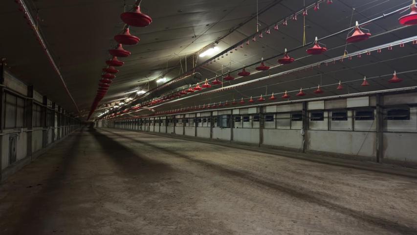 ¡Granja de pollo blanco y licencias definitivas en Xinzo de Limia! photo 0
