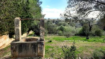 FINCA RUSTICA EN BINISSALEM CON PROYECTO Y LICENCIA photo 0