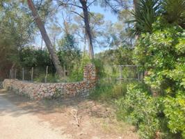 Terreno rustico en Lloret de Vistalegre photo 0