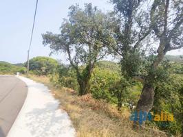 Suelo urbano - Calonge photo 0
