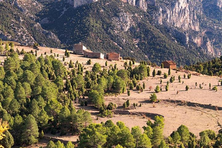 FINCA RUSTICA ESPECTACULAR photo 0