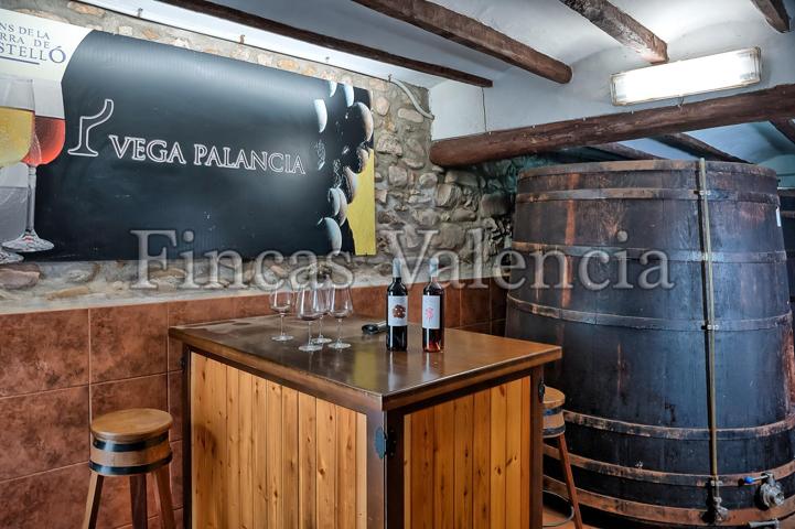 BODEGA DE AUTOR EN PRODUCCIÓN. CASI 6 HECTAREAS DE VIÑEDOS photo 0