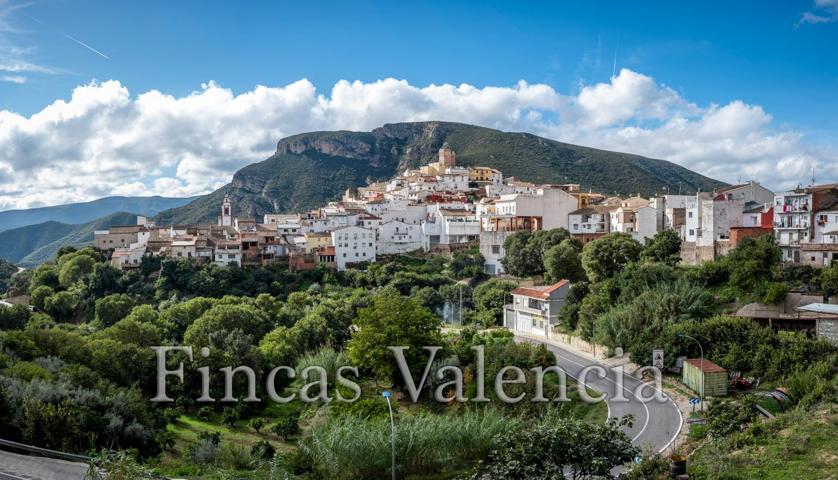 Un secreto bien guardado entre montañas… Finca de casi 39 Ha. photo 0