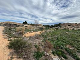 FINCA RUSTICA DE 23000M2 DONDE SE PUEDE EDIFICAR UNA CASA DE CAMPO photo 0