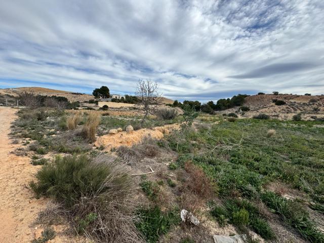 FINCA RUSTICA DE 23000M2 DONDE SE PUEDE EDIFICAR UNA CASA DE CAMPO photo 0
