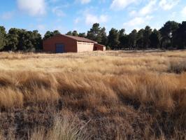 TERRENO CON NAVE EN HORNILLOS DE ERESMA photo 0