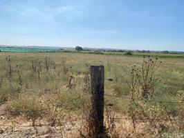 Terreno Urbanizable En venta en Carretera Nueva Jarilla , Jerez De La Frontera photo 0