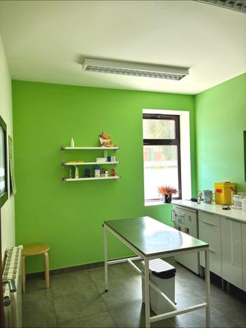 Oficina En alquiler en Castilla Y Leon, San Ildefonso La Granja photo 0