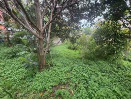 Terreno Urbanizable En venta en Calle Chavez, La Perdoma - San Antonio - Benijos, La Orotava photo 0