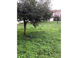 TERRENO PARA EDIFICAR CAN SUQUET LES FRANQUESES photo 0