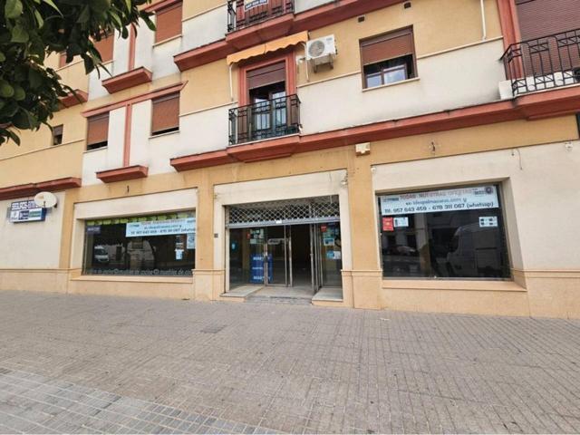 LOCAL COMERCIAL STA. ANA- PALMA DEL RIO photo 0