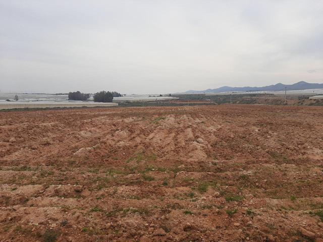 Terreno photo 0