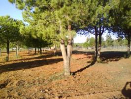 Finca Rustica en venta photo 0